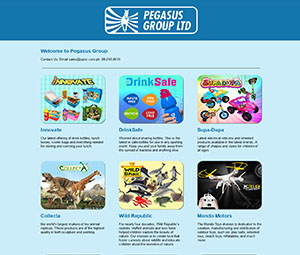 website example 6