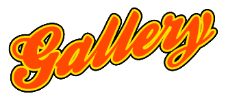 gallery_header